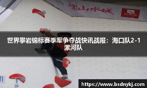 世界攀岩锦标赛季军争夺战快讯战报：海口队2-1漯河队